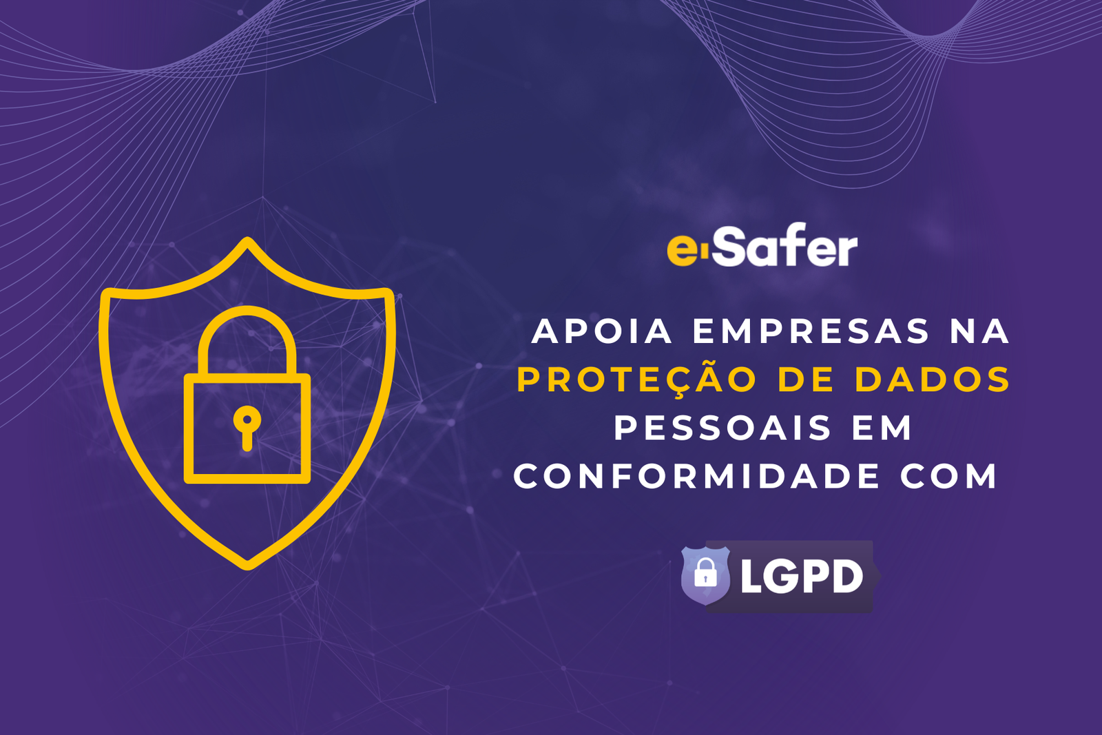 Proteção de Dados-LGPD - e-Safer